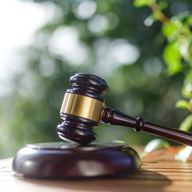 images/LegalResourcespage/KingCountySuperiorCourtClerk.jpg#joomlaImage://local-images/LegalResourcespage/KingCountySuperiorCourtClerk.jpg?width=380&height=380